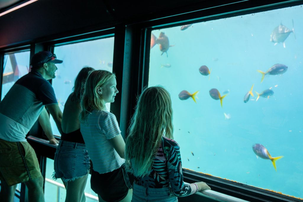 Reef Magic-underwater-observatory Reef Magic-underwater-observatory
