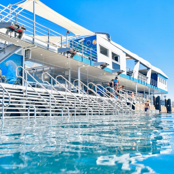 Reef Magic_Pontoon_Stairs To Water Reef Magic_Pontoon_Stairs To Water