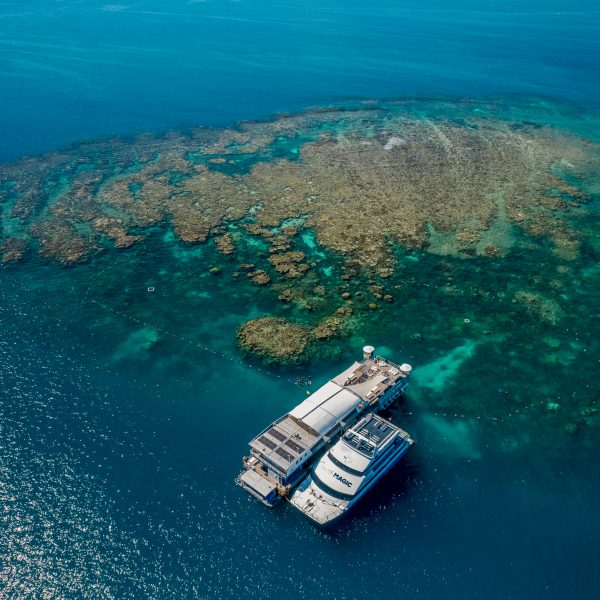 Reef Magic_Pontoon_DroneShot Reef Magic_Pontoon_DroneShot